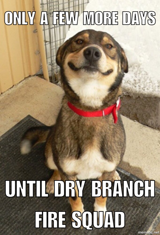 meme dry branch